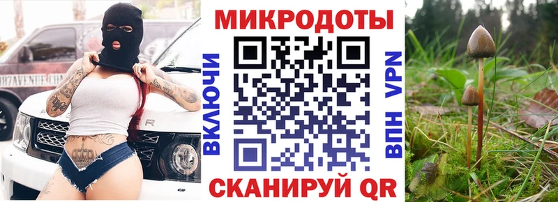 купить наркотик Отрадная blacksprut Галлюциногенные грибы мухоморы